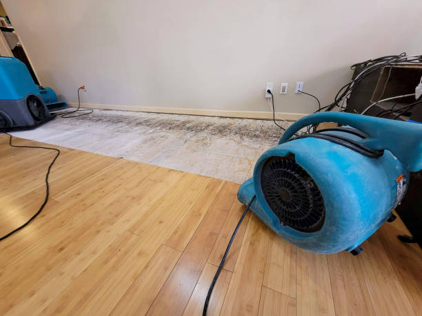 Reliable Basement Flood Cleanup contractor in Edenville, MI by Hirex Water Damage
