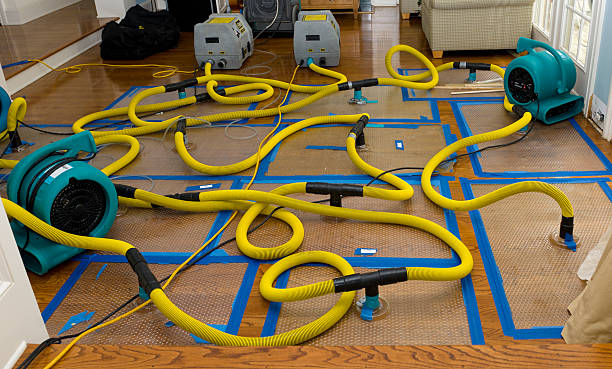 Professional Basement Flood Cleanup technician working in Edenville, MI