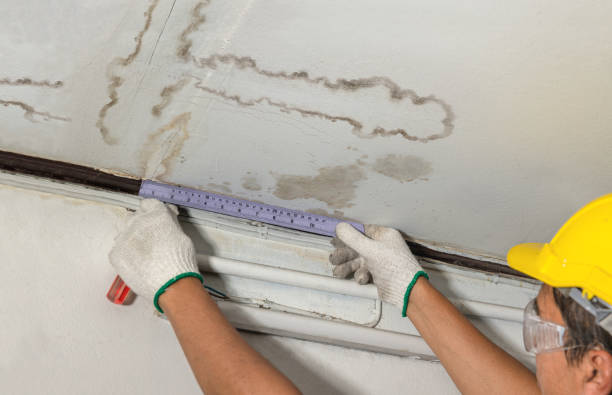 Affordable Water Damage Repair solutions in Edenville, MI